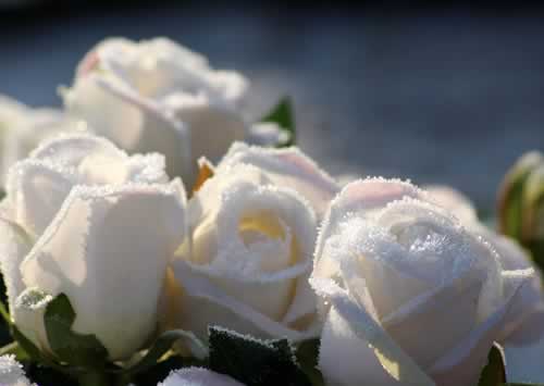 Composizione floreale funebre per cimitero e lapidi